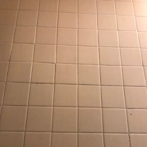 Meet your Posher, Darcy